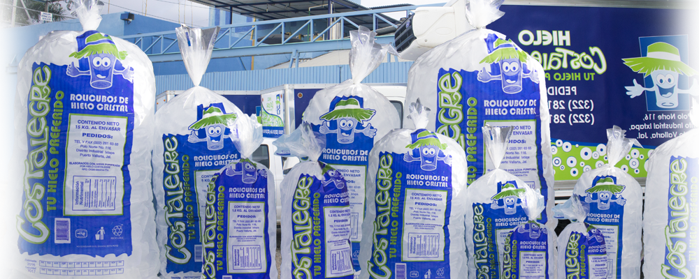 Almacén de Hielo Costalegre