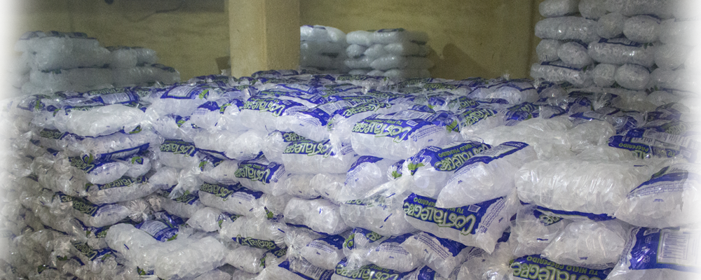 Transporte y camiones de Hielo Costalegre